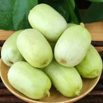 Golden Lady Cucumber Seeds