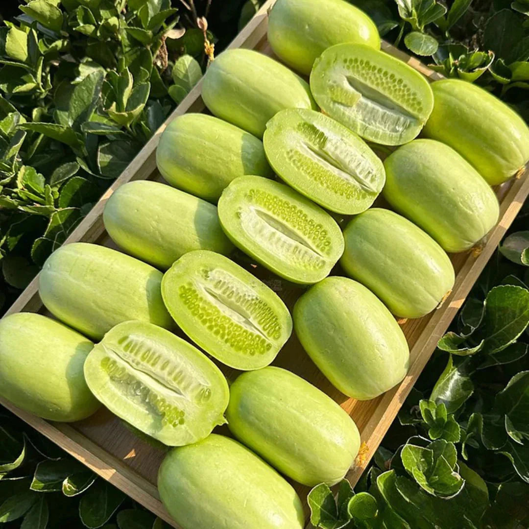 Golden Lady Cucumber Seeds