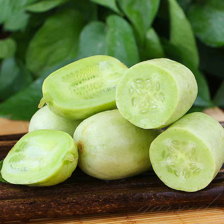 Golden Lady Cucumber Seeds